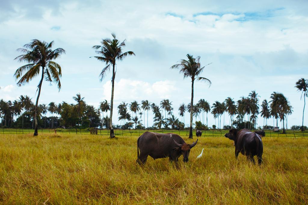 Yataa Spa&Resort Ko Sukon Bagian luar foto